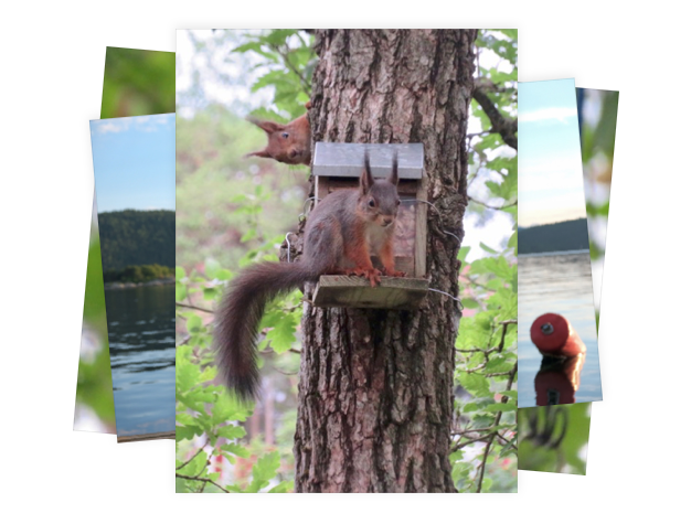 Vinnere av fotokonkurransen 2024