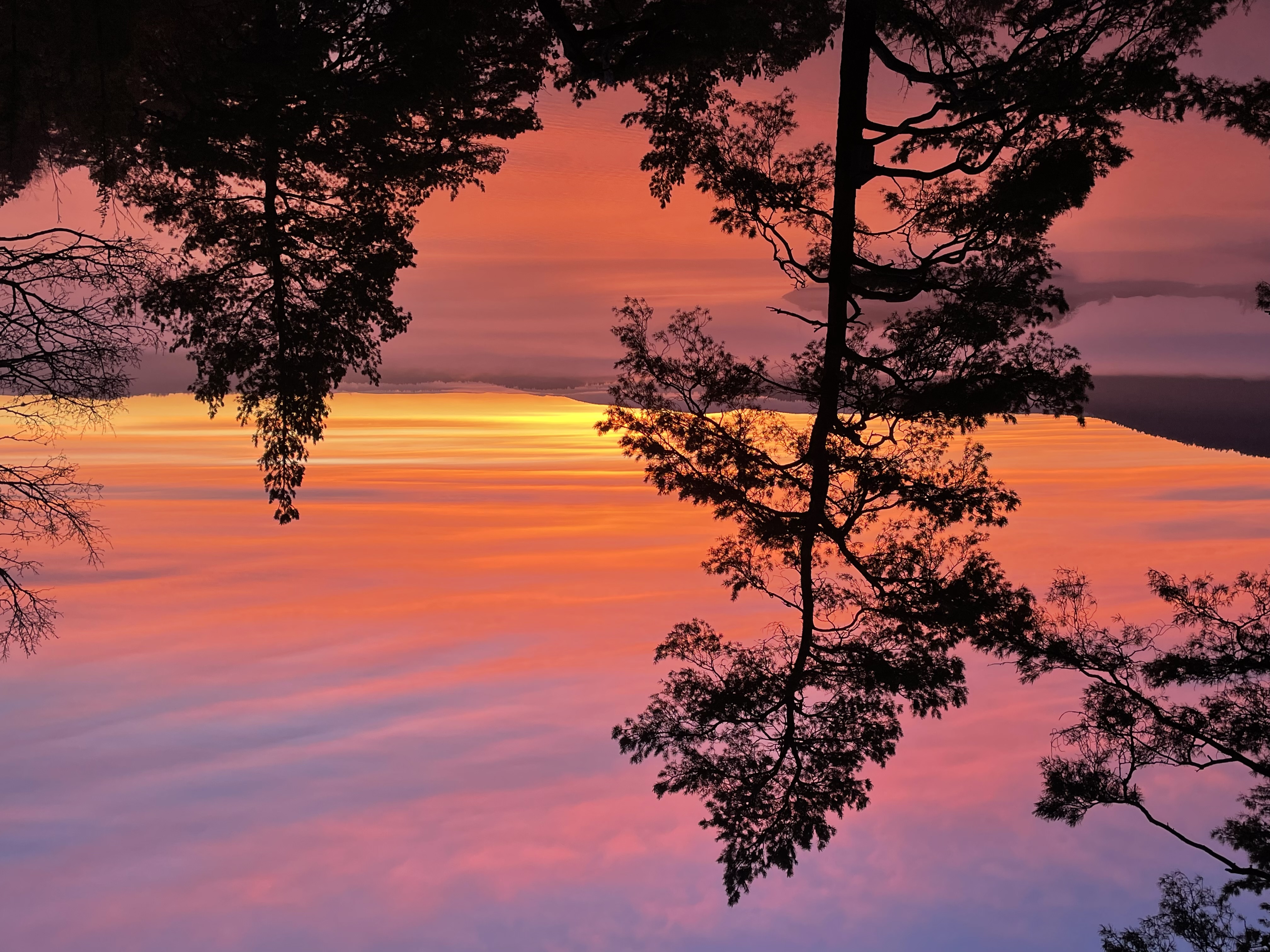 Artikkelbilde til artikkelen Fotokonkurranse 2025